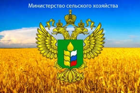 Замминистра сельского хозяйства РФ Джамбулат Хатуов провел видеоконференцию, посвященную системе защиты урожая от града в СКФО и ЮФО
