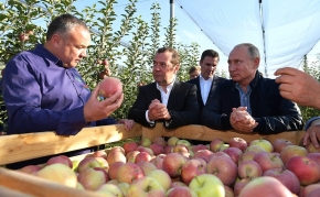 Владимир Путин пообещал ставропольским аграриям продолжить сдерживание цен на ГСМ