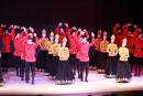 Государственный ансамбль Адыгеи «Нальмэс» представил черкесскую культуру в краевой столице