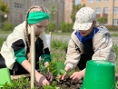 Сентябрь – завершающий месяц проекта по экологическому воспитанию школьников «Школьная дубрава»