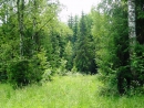 Ставрополь вернул еще 2 гектара городских лесов