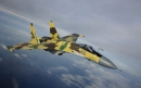 Военные ФРГ заявили о сопровождении самолетов в Сирии российскими Су-35